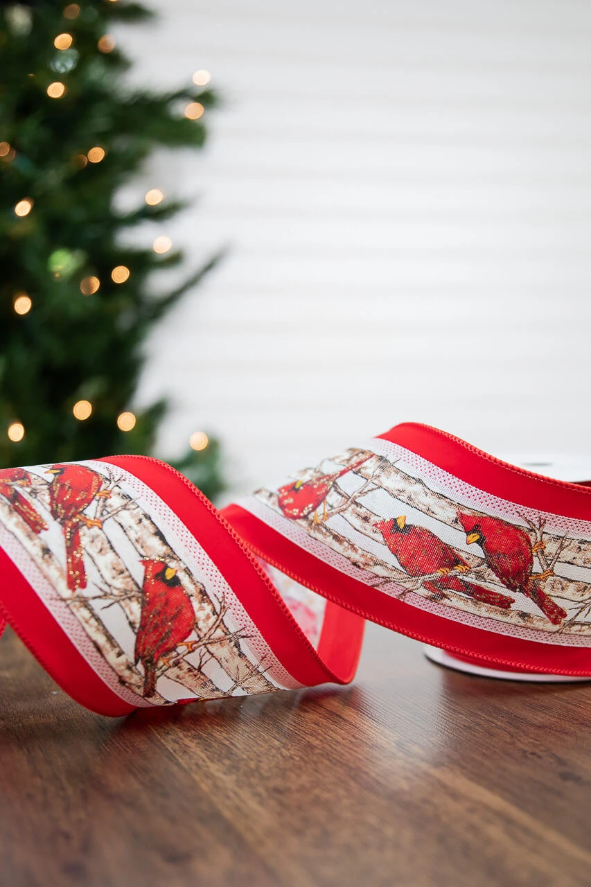 4β X 10 Yard Cardinals Birch Velvet Wired Ribbon