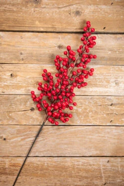 39โ Red Tall Berry Spray