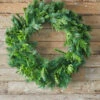 36" Bristle Pine With Natural Touch Evergreen Wreath