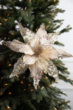 22β Velvet Sheer Poinsettia Stem - Champagne