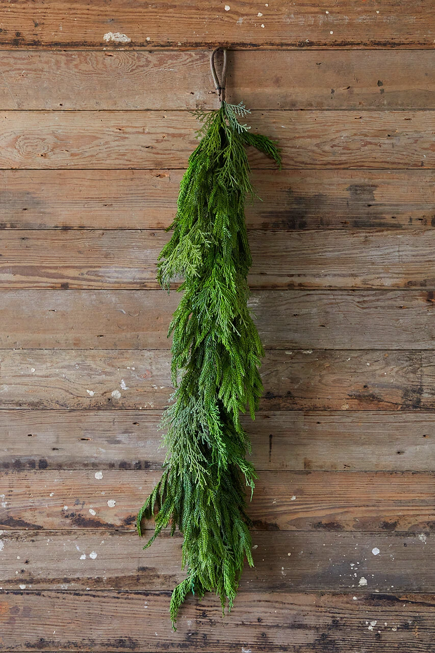 48β Cyprus/ Norfolk Pine Garland