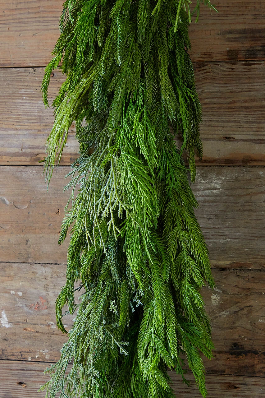48β Cyprus/ Norfolk Pine Garland - Image 2