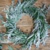24” Real Touch Flocked Norfolk Wreath
