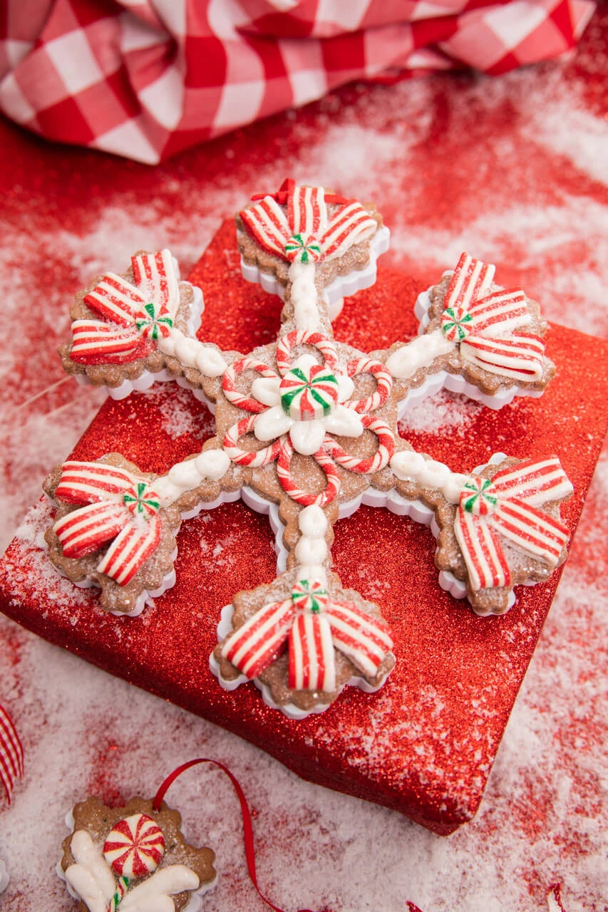 8.5" Claydough Candy Snowflake Ornament - Image 3