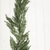 48” Iced Garden Norfolk Pine Garland