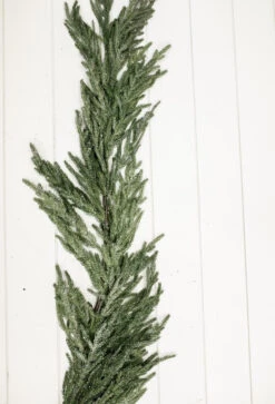 48” Iced Garden Norfolk Pine Garland