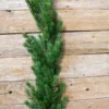 48” Just Cut Spruce Garland