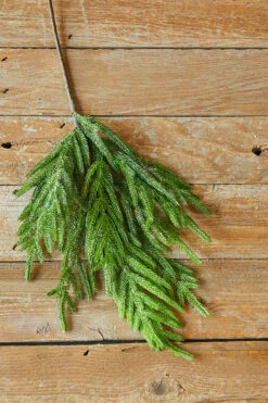 30β Iced Garden Norfolk Pine Branch Christmas Spray