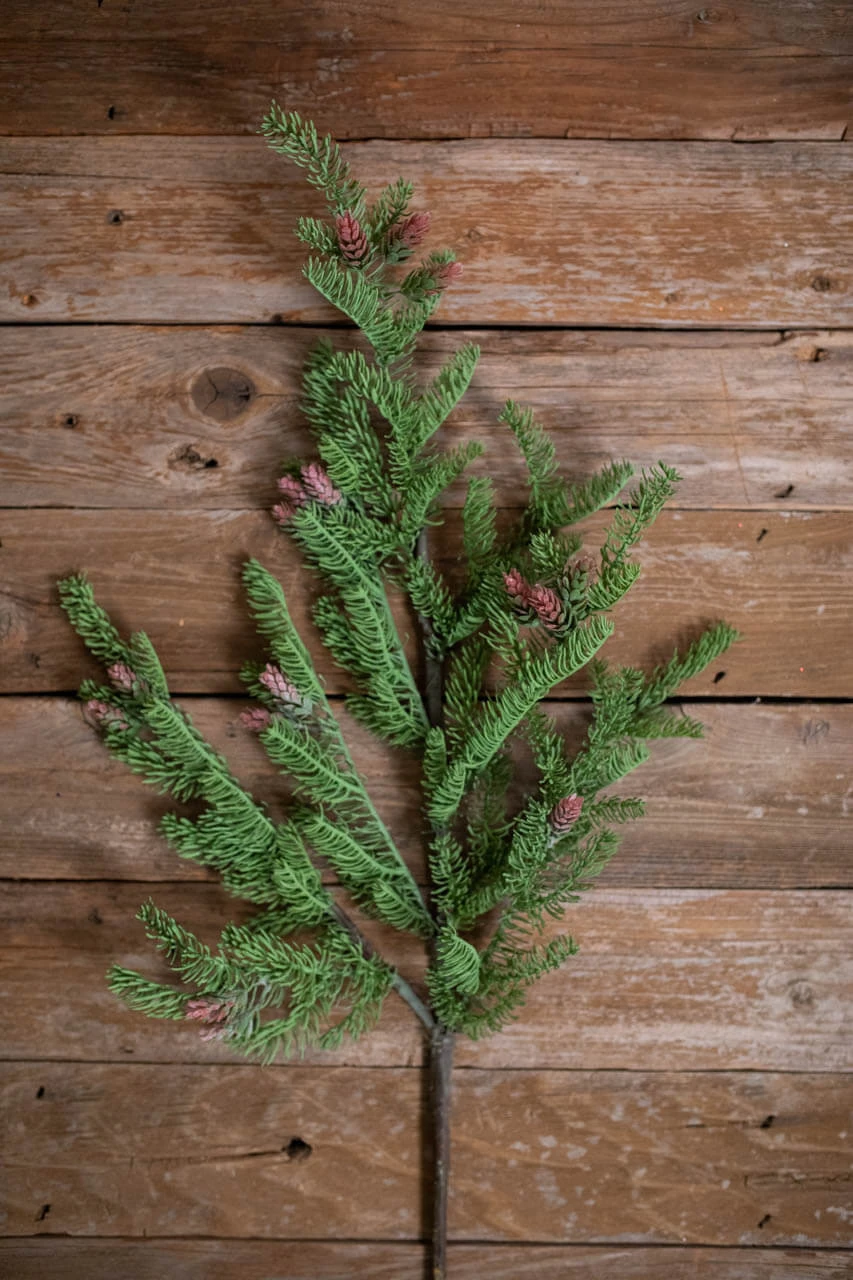 47β PE Spruce With Cones Branch