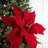 30” Red Display Poinsettia Stem