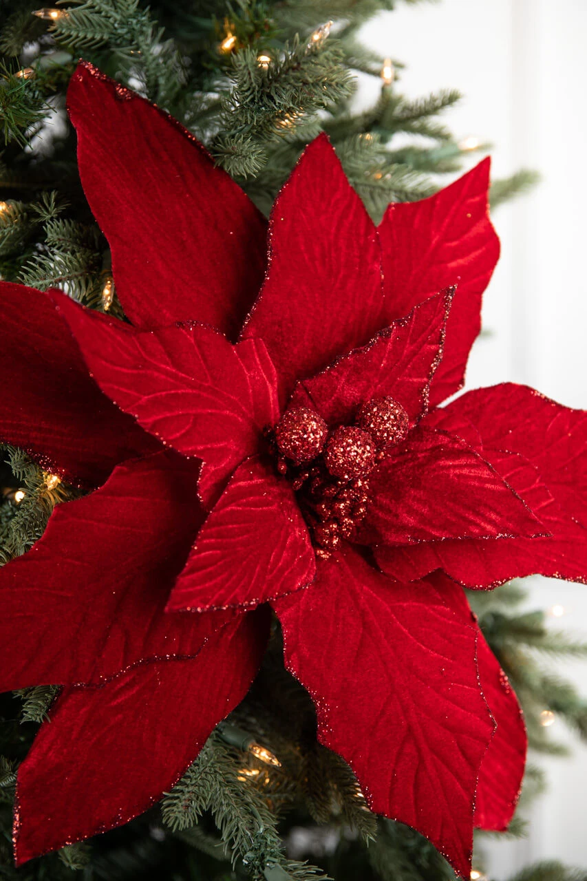 30β Red Display Poinsettia Stem - Image 2